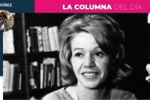 Columna Mayra Nฃคez