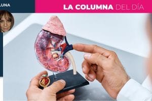 Columna Norma Luna 10