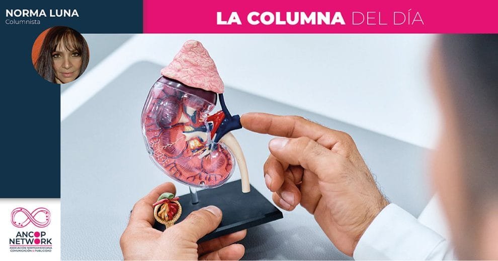 Columna Norma Luna 10