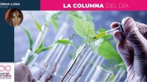 Columna Norma Luna 9