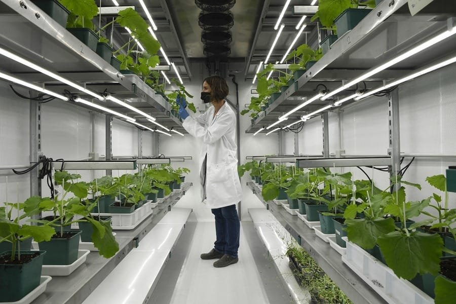 La inteligencia artificial abre un mundo de posibilidades en agroalimentación 10 ImagenPorRuta 1 4