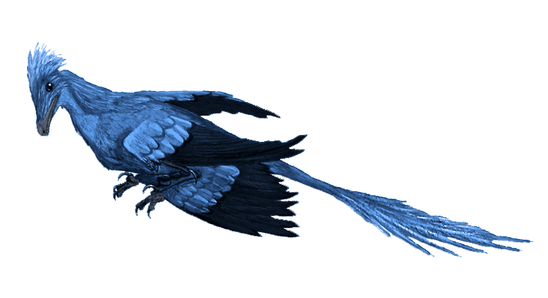 Microraptor mmartyniuk true colors