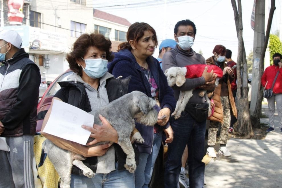 WhatsApp Image 2022 12 07 at 3.17.45 PM