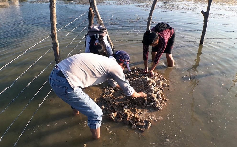 a999d4bdaaaee87ad64e785bdbf3977ac89cdcaew