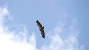 f16cad28cb03339db41c7e6f27a804ff3c2a0408w