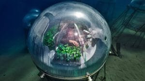 jardin de nemo invernadero