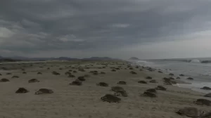 mes septiembre fecha comienza temporada