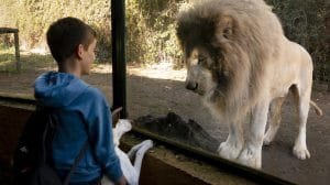 106833ae78e961fc8d17598c087071ac7ac82bbcw