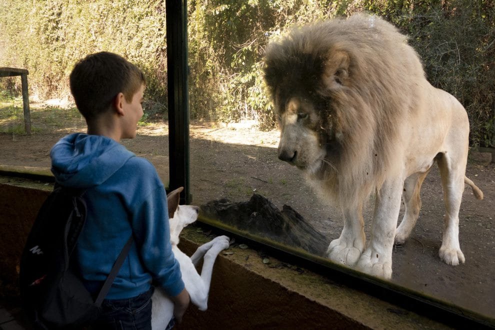 Más de un millón de especies están en peligro y sin protección 10 106833ae78e961fc8d17598c087071ac7ac82bbcw