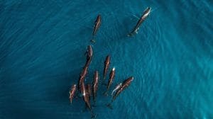 1591167896 906147 1591168106 noticia normal