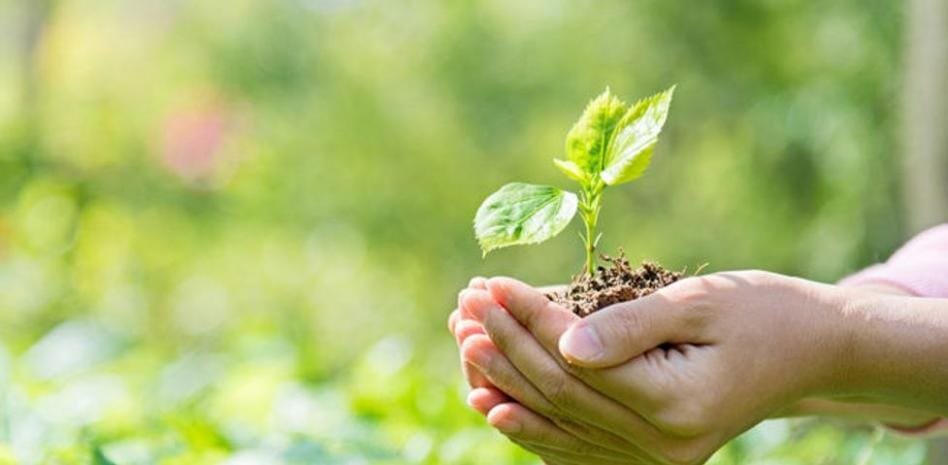 Senado impulsa reforma inclusiva para proteger el ambiente 10 60e7df3eb4f55