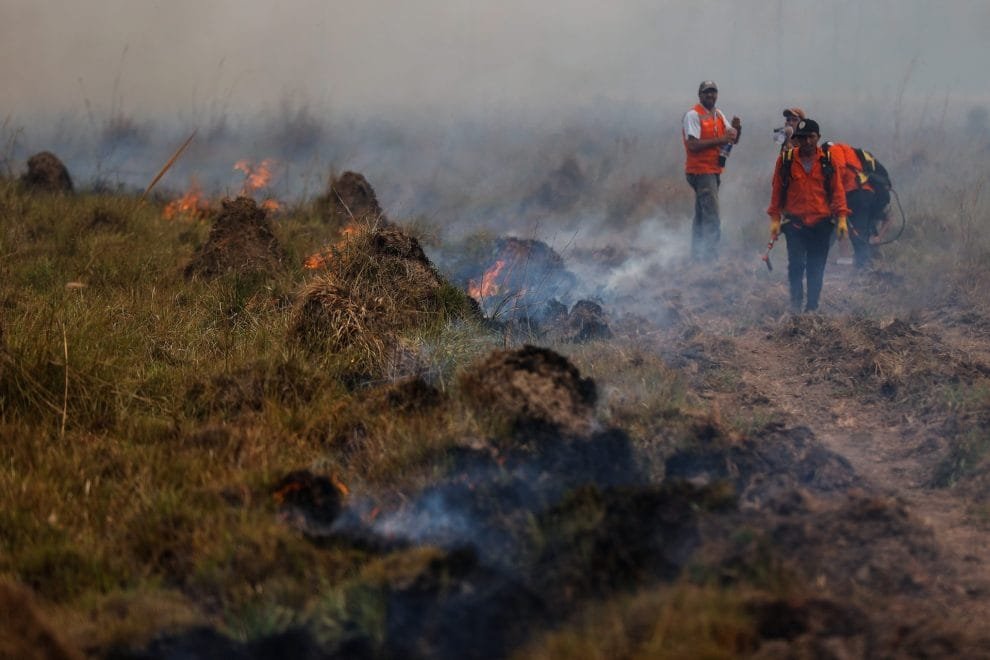 ARGENTINA INCENDIOS