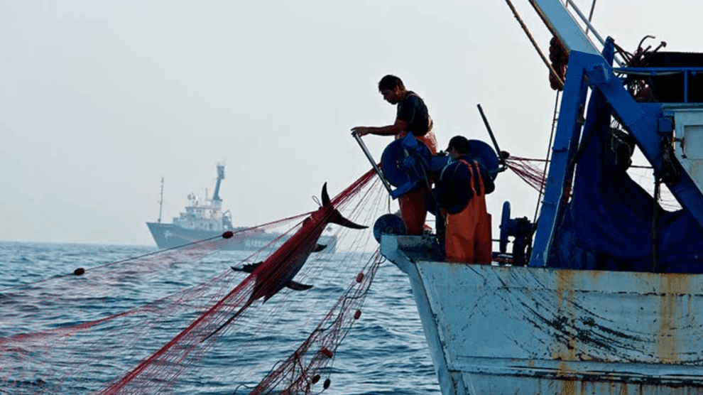 Impulsan norma contra la pesca ilegal 10 Ambiental news