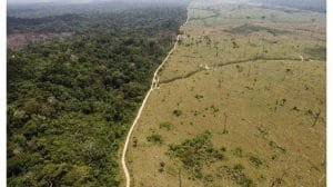 La sexta extincion masiva se acelera