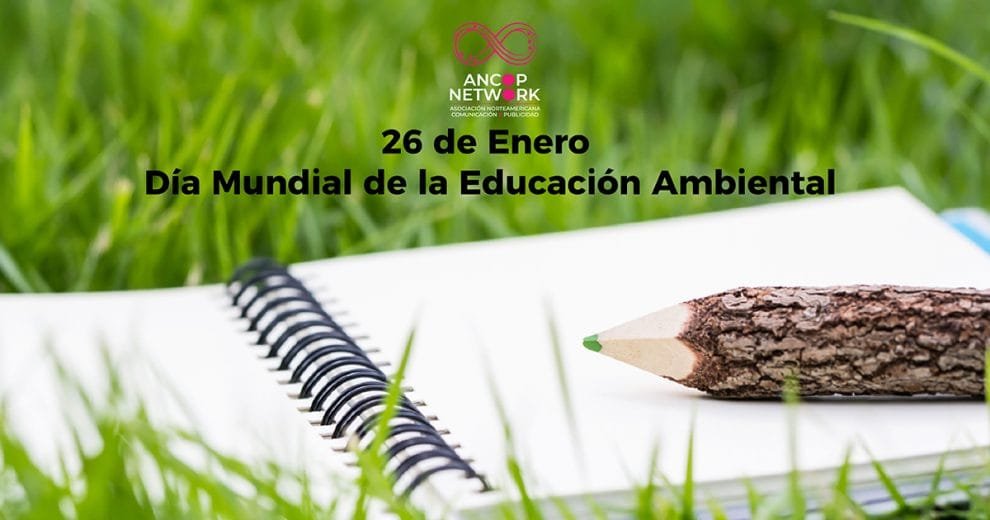Día Mundial de la Educación Ambiental 11 Nota Educacion Ambiental