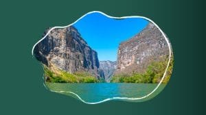 WhatsApp Image 2023 01 17 at 11.07.37