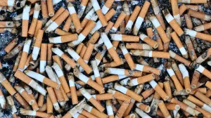 file 20210210 23 1krx0u1