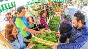 thumb 2344 1153 706 0 0 crop