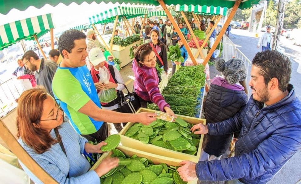 thumb 2344 1153 706 0 0 crop