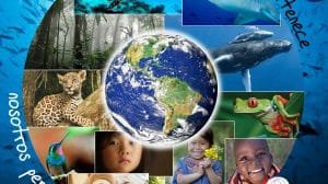 31116800 1086734261465392 5388015156909309952 n