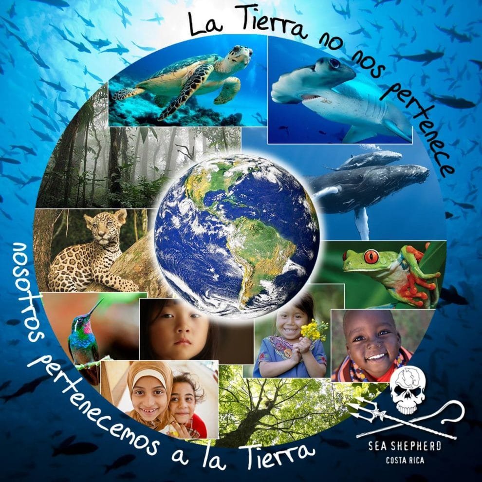 El planeta no nos pertenece 10 31116800 1086734261465392 5388015156909309952 n