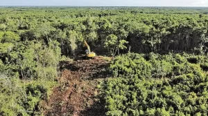 897043 tramo 6 tren maya 1 impreso.jpg 709843583