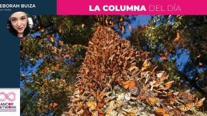 Columna Deborah Buiza