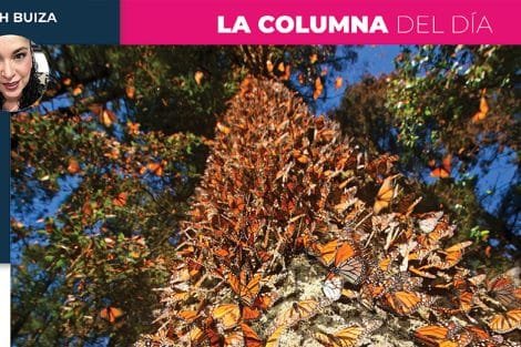 Columna Deborah Buiza