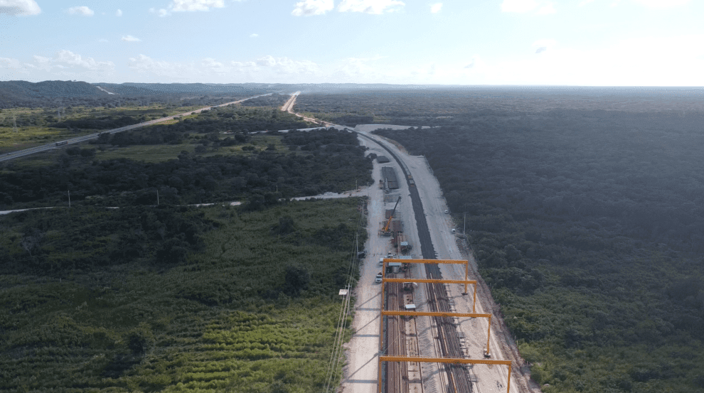 Ocean Futures Society alerta sobre impacto ambiental del Tren Maya 11 16717301310809