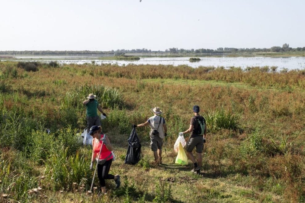 Detectan hasta 59 contaminantes orgánicos en Áreas Importantes para la Conservación de las Aves y la Biodiversidad 10 1m2 El Rocio Huelva ii e1677854386548