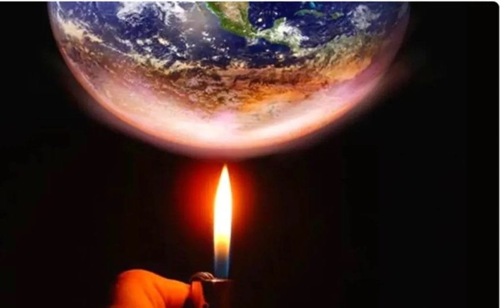 cats 2.jpg 172596871