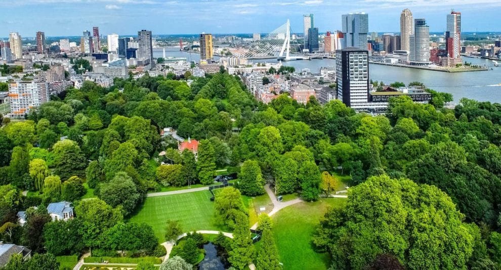 city 2655108 1920 1599x862 1