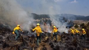 cuartoscuro 747396 digital