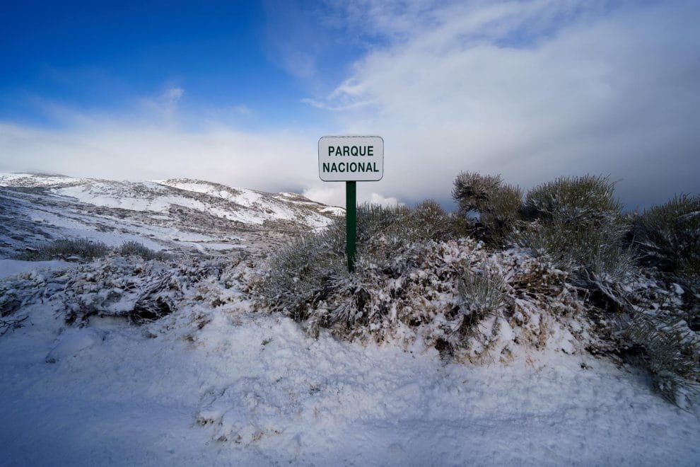 f0e7da00ded9dec1b58d9eda08b99e06a5e564aew