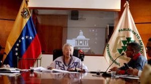 parlamento amazonico