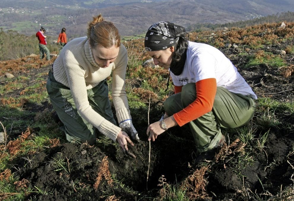 Un 28 % de mujeres ocupan trabajos de mejora ambiental 10 reforestacion