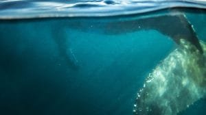 thumb 16082 default 900