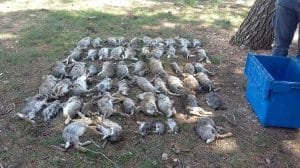 WhatsApp Image 2023 04 12 at 12.53.33