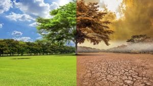 cambio climatico causas consecuencias 2