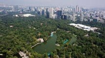 greenpeace alerta que la cdmx no cuenta con areas verdes suficientes para el bienestar de capitalinos