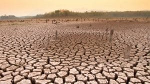 impactos cambio climatico