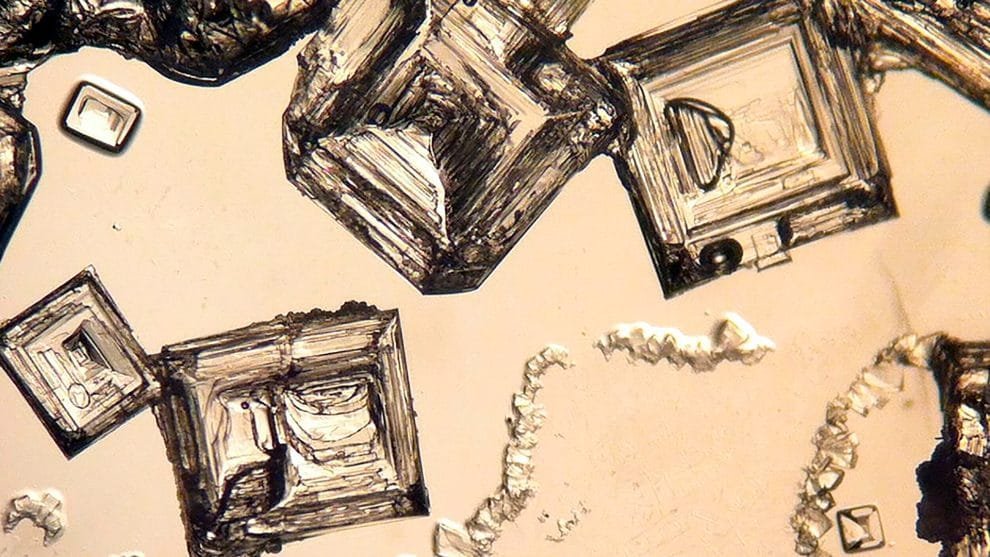 REAZD3JRNNGDFJWIF7NH375TGE