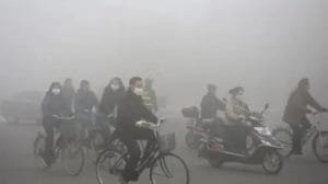 WhatsApp Image 2023 05 03 at 11.45.35