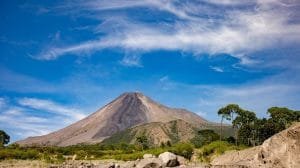 WhatsApp Image 2023 05 03 at 12.18.42