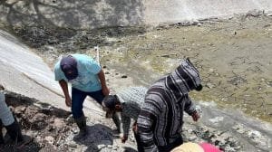 WhatsApp Image 2023 05 04 at 12.44.32