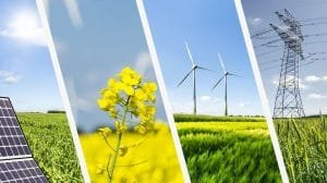 foto blog rensus 01 1200 0600