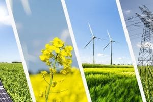 foto blog rensus 01 1200 0600