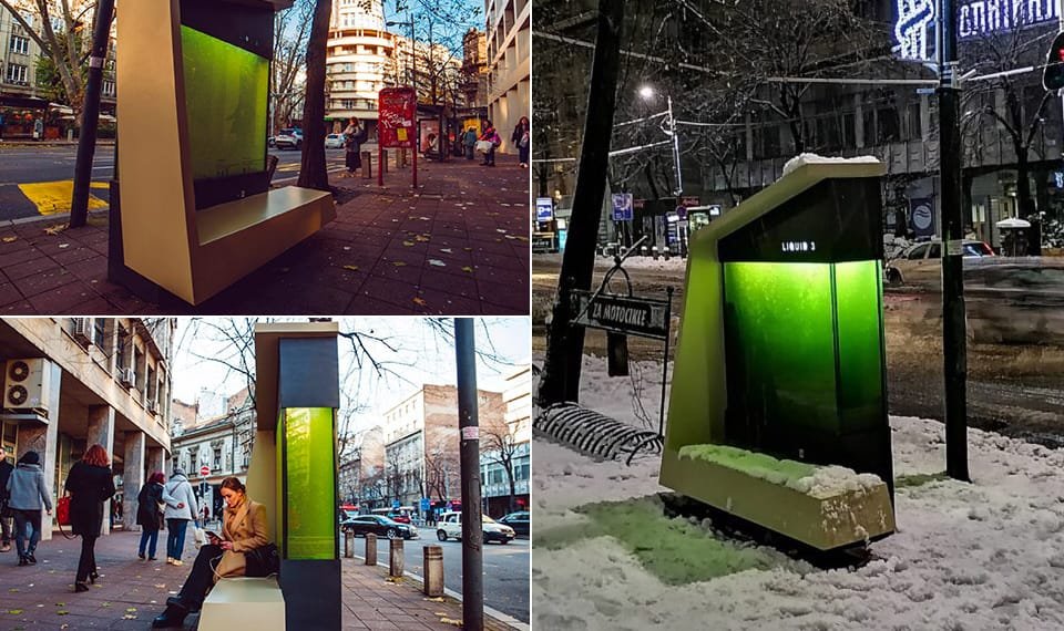 Un árbol nuevo 11 liquid 3 urban photo bioreactor water microalgae oxygen 960x570 1