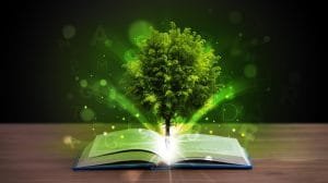 que es la educacion ambiental concepto y objetivos 1475 orig