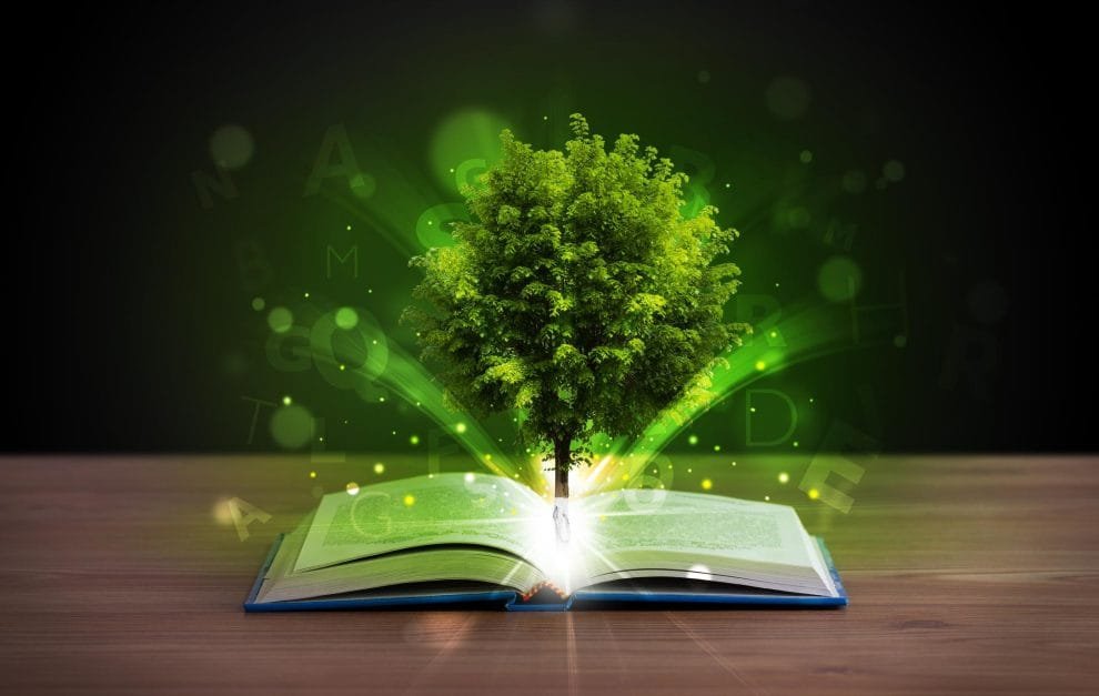 que es la educacion ambiental concepto y objetivos 1475 orig